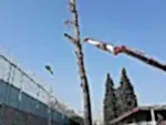 İzmir Ağaç Budama | Ağaç Budama Peyzaj Bahçe Düzenleme İzmir
