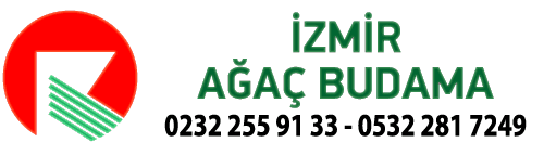 İzmir Ağaç Budama